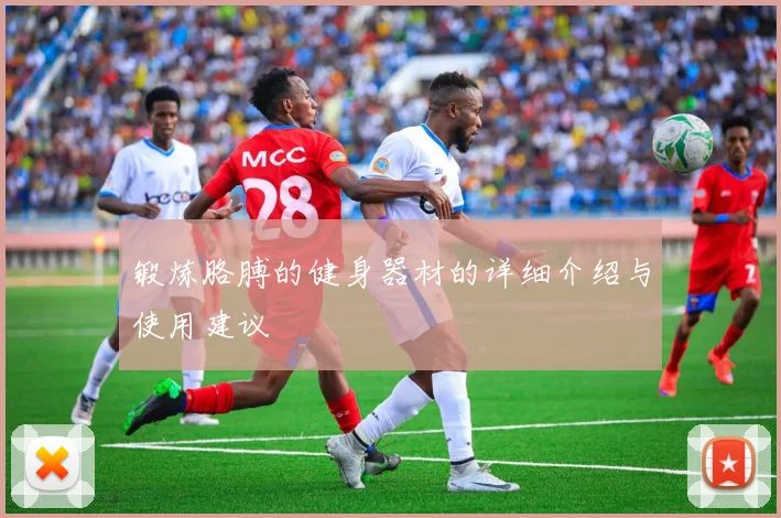 锻炼胳膊的健身器材的详细介绍与使用建议