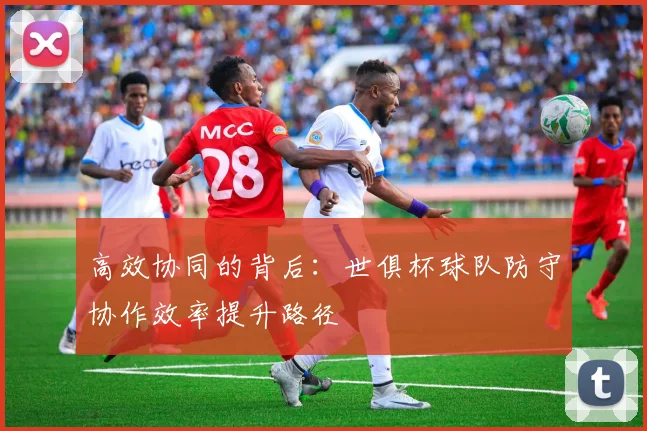 高效协同的背后：世俱杯球队防守协作效率提升路径